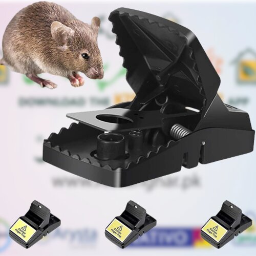 Reusable Mouse Trap – Heavy-Duty Plastic Mice Catcher (Pack)