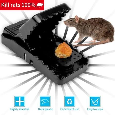 Reusable Mouse Trap – Heavy-Duty Plastic Mice Catcher (Pack)